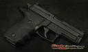 used Sig Sauer Sauer Sauer P229 Elite Extras