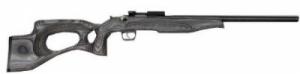 KSA CRICKETT .22 LR  BL/BLACK TH