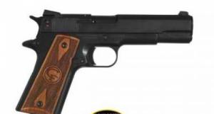 CHI 1911-22 SPORT .22 LR  5BLK AS