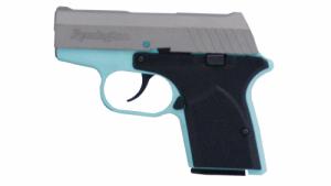 Remington RM380 380ACP 2.9 6RD - RM380ROBINTITANIUM