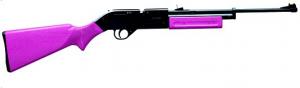 Crosman .177 BB Pump Rifle w/Pink Synthetic Stock