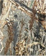 Primos Mossy Oak Duck Blind Ironside Die Cut Fabric