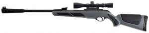 Gamo .177 Caliber Air Rifle w/18" Barrel/Synthetic Stock - 611006754