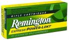 Remington 45-70 Government 300 Grain Semi-Jacketed Hollow Po