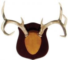 DO ALL ANTLER MOUNT KIT TRU CLASSIC