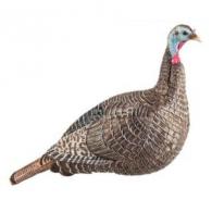 HSP SUZIE SNOOD HEN DECOY (2)