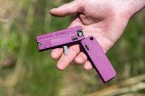 TRAILBLAZER LIFECARD .22 LR PRISON PINK POLY - LC1PPP