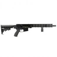 Alex Pro Guardian 5.56 NATO Semi-Auto Rifle - RI294