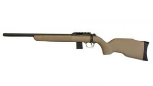 DIANA R-22 Carbon Tan .22WMR - 4030022