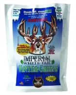 Whitetail Institute Wintergreen