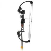 Bear Archery Brave Black - AYS300BR