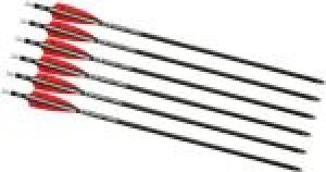 TenPoint EVO-X CenterPunch Arrows 16 in. Alpha Nocks 6 pk. - HEA-750.6