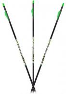 Carbon Express D-Stroyer Piledriver Arrows 400 6 pk. - 51180