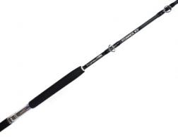 Fitzgerald Fishing Stunner HD Saltwater Series Rod Length: 6'6"