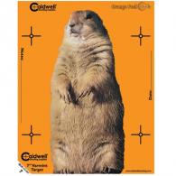 Caldwell Orange Peel Vermin Target 7in 10 Sheets - BAT554558