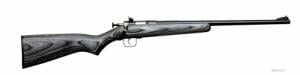 .22 Caliber Cricket Rifles - KSA2370