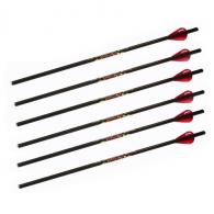 Excalibur Crossbow Diablo 18" Carbon Arrows 6 Pack - 22DV18-6