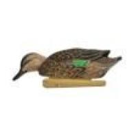 AVIAN X TOP FLIGHT GREEN WING TEAL