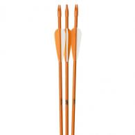 October Mountain Youth Fiberglass Arrows 26 in. 3 pk. - 61143