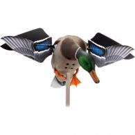 Avian X Powerflight Smart Mallard Decoys - AVX-AVXDP100