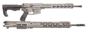 FosTech FLITE Phantom Train and Shoot Combo .22LR/5.56 NATO Semi Auto Rifle