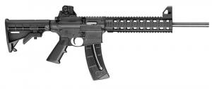 SWL M&P1522 .22 LR  16 COL 25