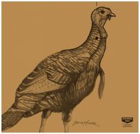 Birchwood Casey Shoot-N-C Turkey Silhouette Kit 4 Vita