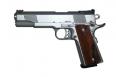CZ-USA Dan Wesson Pointman Nine 9+1 9mm 5"