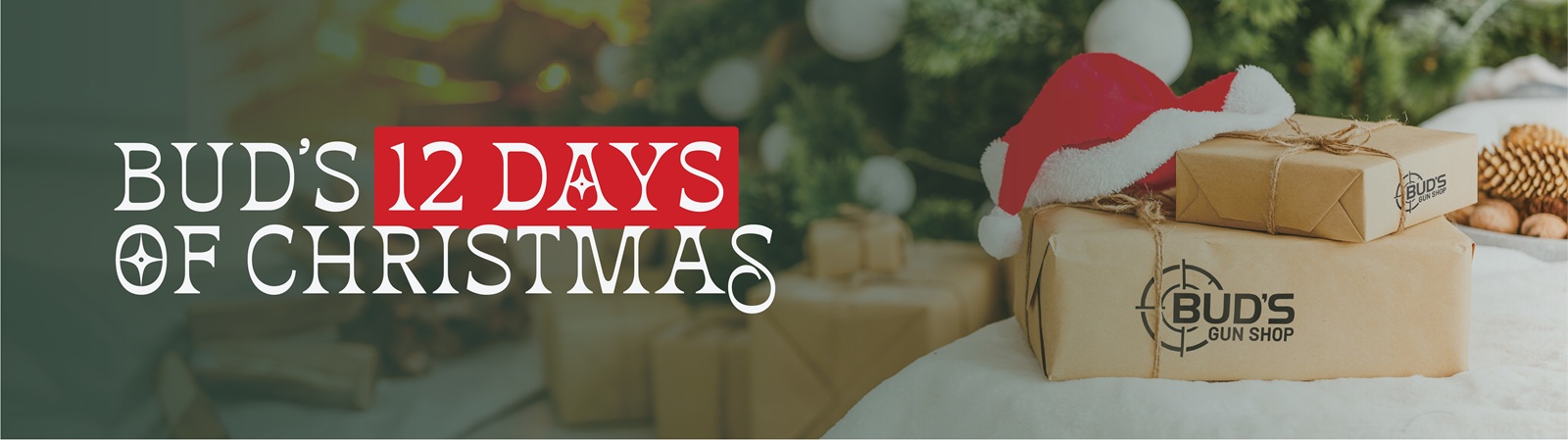 Bud's 12 Days of Christmas