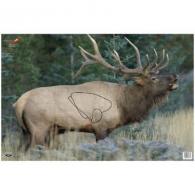 BC EZE-SCORER ELK PAPER TGT 23X35 2PK - 37485 BC EZE-SCORER ELK PAPER TGT 23X35 2PK - 37485