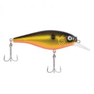 Berkley Flicker Shad Shallow Hard Bait 2 3/4" Bait Length, 2/7 oz, 3'-6' Depth, Fool's Gold, Package of 1 - 1481573 Berkley Flicker Shad Shallow Hard Bait 2 3/4" Bait Length, 2/7 oz, 3'-6' Depth, Fool's Gold, Package of 1 - 1481573