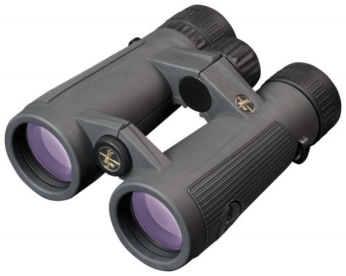 Leupold BX-5 Santiam HD 10x 42mm Binocular