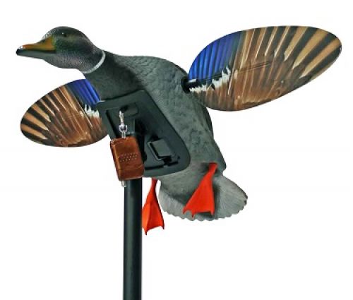 Mojo Mini Mallard Drake Motion Decoy with Remote