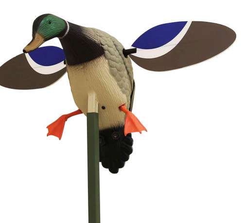 Mojo Baby MOJO Drake Decoy