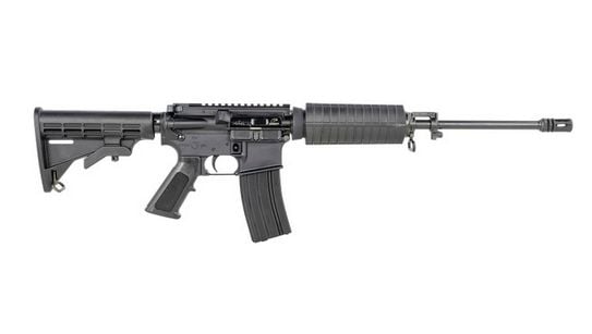 Bushmaster 223 16 10RD BLK