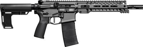 Patriot Ordnance Factory Minuteman Direct Impingement 350 Legend 16.50 10+1 Tungsten Rec/14.5 M-Lok Handguard Black