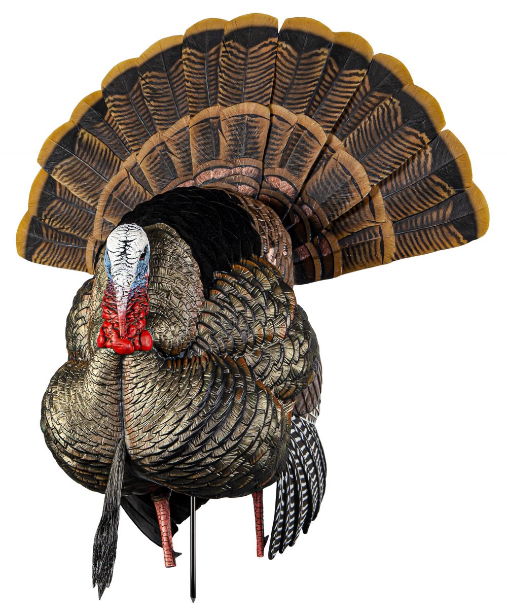 Avian X AVX-AVX8108 HDR Strutter Turkey Species Multi Color