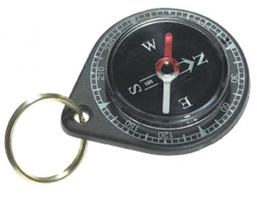 Silva Companion Compass Black
