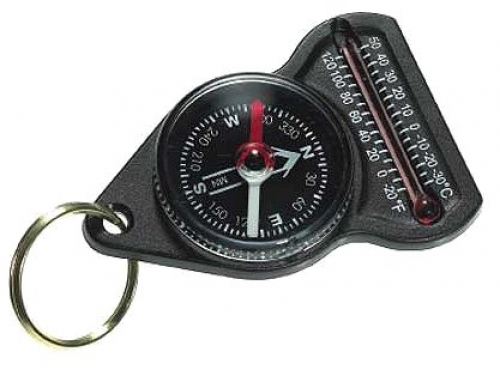 Silva Forecaster Compass Black