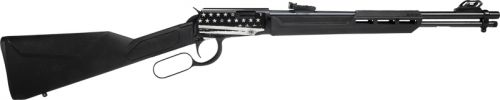 Rossi Rio Bravo 22LR Lever Action Rifle