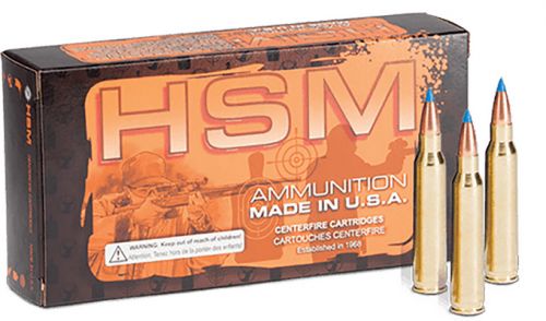 HSM 204 Ruger 32gr BlitzKing 20 Per Box/20 Case