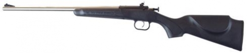 Crickett .22lr Blued, Black synthetic, with Scope