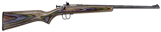 Crickett .22lr Blued, Camo laminated