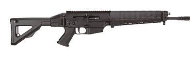 SIG SIG522 .22 LR  16.6 SWISS CA