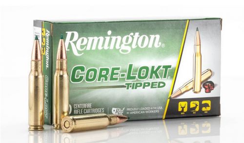 Main product image for Remington Core-Lokt Tipped Ballistic Tip 308 Winchester Ammo 20 Round Box