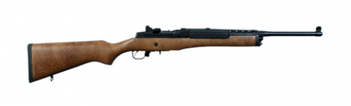 Ruger Mini-Thirty 7.62x39