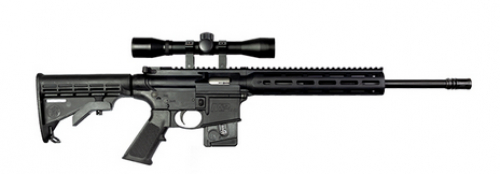 Smith & Wesson M&P15 SP .22 LR 16 10 CA KIT