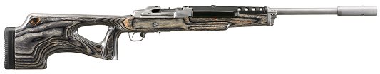 Ruger Mini 14  223 