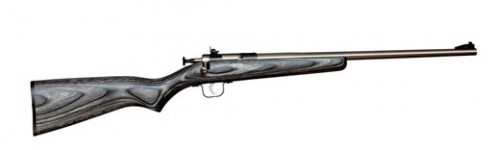 Crickett .22 LR 