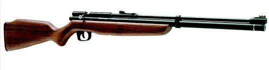 Benjamin .22 Cal. Pellets Dual Fuel Air Rifle w/Black Finish